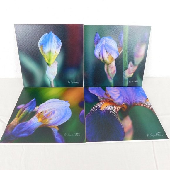 Purple Iris Flower Color Photography Lot of 4 Print Foam Board Botanical Nature - Picture 1 of 7